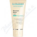 Dr. med. Christine Schrammek Regulating Blemish Balm Light 40 ml – Zboží Dáma