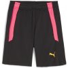 Dětské kraťasy a šortky Puma Teamliga Training Shorts 2 Jr Open Football Short Unisex Kids Puma Black