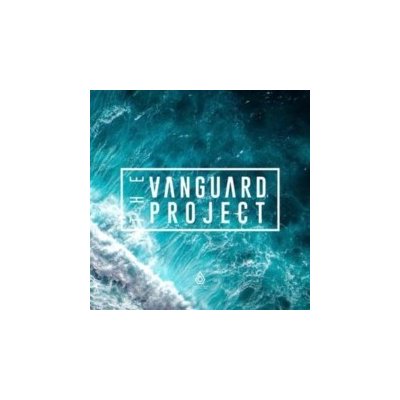 Stitches/What U Do Remixes The Vanguard Project LP – Hledejceny.cz