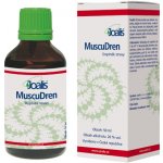 Joalis MuscuDren 50 ml – Zboží Dáma