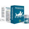 Vitamíny pro psa International Probiotic Probiodog plv 50 g