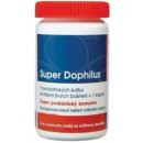 Harmonium Super Dophilus 60 kapslí