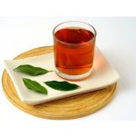 Stevikom Kombucha zelený čaj 0,5 l – Zboží Dáma