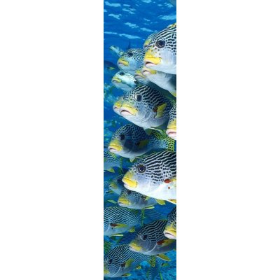 Záložka 3D Sweetlips – Hledejceny.cz