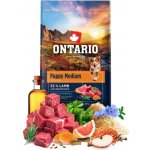 Ontario Puppy Medium Lamb & Brown Rice 6,5 kg – Hledejceny.cz