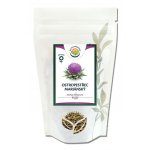 Salvia Paradise Ostropestřec mariánský plod celý 10 g – Hledejceny.cz