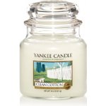 Yankee Candle Clean Cotton vonný vosk 22 g – Hledejceny.cz