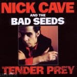 Nick Cave & The Bad Seeds - Tender Prey – Hledejceny.cz