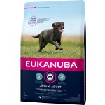 Eukanuba Adult Large Breed 15 kg – Sleviste.cz