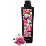 Dedra avivážní kondicionér lila fashion 750 ml – Hledejceny.cz