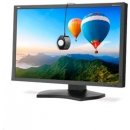 Monitor NEC PA302W