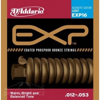 D'addario EXP 16