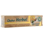 Dabur ajurvédská 100 ml – Hledejceny.cz