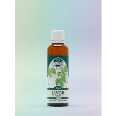 Naděje Javor babyka tinktura z pupenů 50 ml – Hledejceny.cz