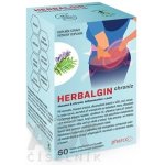 Herbalgin chronic 60 tablet – Zboží Dáma