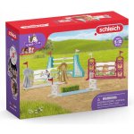 Schleich 42612 Doplňky pro koňskou překážkovou dráhu – Hledejceny.cz