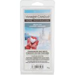 Vosk Yankee Candle Snow Day vonný vosk 75 g – Hledejceny.cz