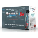 Saluten Pharma Magnesium Chelate 375 mg + B6 10 x 25 ml – Hledejceny.cz
