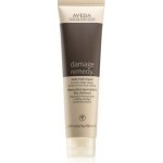 Aveda Damage Remedy regenerační kúra na vlasy 100 ml – Hledejceny.cz