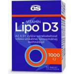 GS Vitamin Lipo D3 1000 IU 70 kapslí – Hledejceny.cz