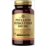 Solgar Psyllium Husks Fiber, Vláknina z jitrocele, 500 mg, 200 rostlinných kapslí – Hledejceny.cz