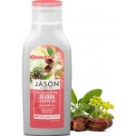 Jason šampon Jojoba 473 ml – Zboží Mobilmania