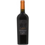 Varvaglione Passione Primitivo del Salento IGP 2020 14% 0,75 l (holá láhev) – Hledejceny.cz
