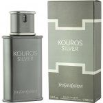 Yves Saint Laurent Kouros Silver toaletní voda pánská 100 ml – Sleviste.cz
