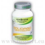 VemoHerb Solidago 90 kapslí Zlatobýl obecný – Hledejceny.cz