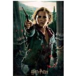 PRIME 3D Puzzle Harry Potter: Hermiona Granger 300 ks – Zboží Dáma