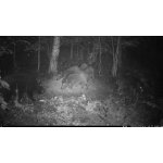 OXE Viper – Zboží Živě