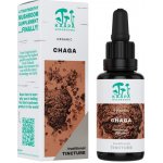 Kääpä Mushrooms Chaga BIO tinktura 30 ml – Hledejceny.cz