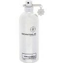 Montale Vanille Absolu parfémovaná voda dámská 100 ml tester