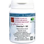 Giovanni Maciocia T41 Vypuštění ohně 60 tablet – Hledejceny.cz