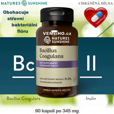 Nature’s Sunshine Bacillus Coagulans 90 kapslí po 345 mg – Hledejceny.cz