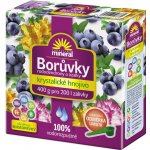 Forestina s Lignohumátem na borůvky, rododendrony a azalky 400g – Hledejceny.cz