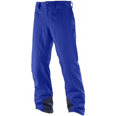 Salomon Icemania Pant surf the web