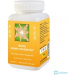 TCM herbs patentní medicína Nápoj ze zlatého kořene 100 g – Hledejceny.cz