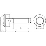 šroub M6x16 A2 nerez HLADKÝ límec DIN 6921 – Zboží Mobilmania