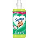 Softlan Fruhlingsfrisch 3D aviváž 1 l 45 PD – Zboží Mobilmania