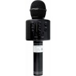 Karaoke mikrofon WS 858 Černý – Zbozi.Blesk.cz