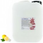 PM Aqualog esence do parních kabin ledový limon 815-005/D 5 l – Hledejceny.cz