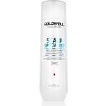 Goldwell Dualsenses Deep Cleansing Shampoo 250 ml – Zboží Mobilmania