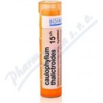 CAULOPHYLLUM THALICTROIDES POR 15CH GRA 1X4G – Hledejceny.cz