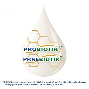 HiPP 2 BIO Combiotik 500 g