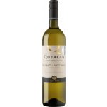 Klet Brda Quercus Pinot Blanco 2024 Bílé 14% 0,75 l (holá láhev) – Hledejceny.cz