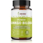 Blendea Ginkgo Biloba 60 kapslí – Hledejceny.cz