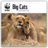 Kalendář WWF Big Cats Raubkatzen 2024