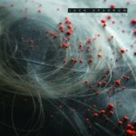 Sparrow Jack - Circadian CD – Sleviste.cz