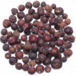 Nefertitis Jalovec červenoplodý plod NF53881 20 g – Zboží Dáma